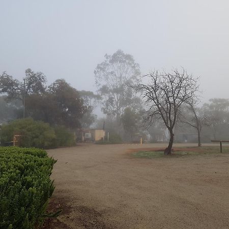 Pecan Hill Bnb Toodyay エクステリア 写真