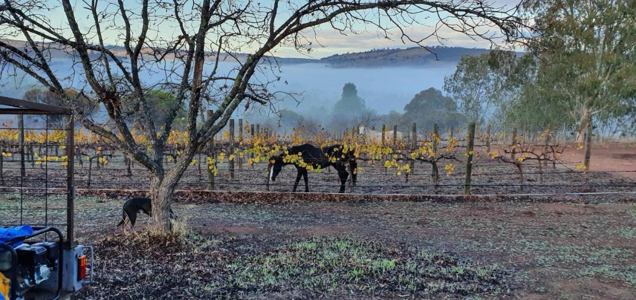 Pecan Hill Bnb Toodyay エクステリア 写真