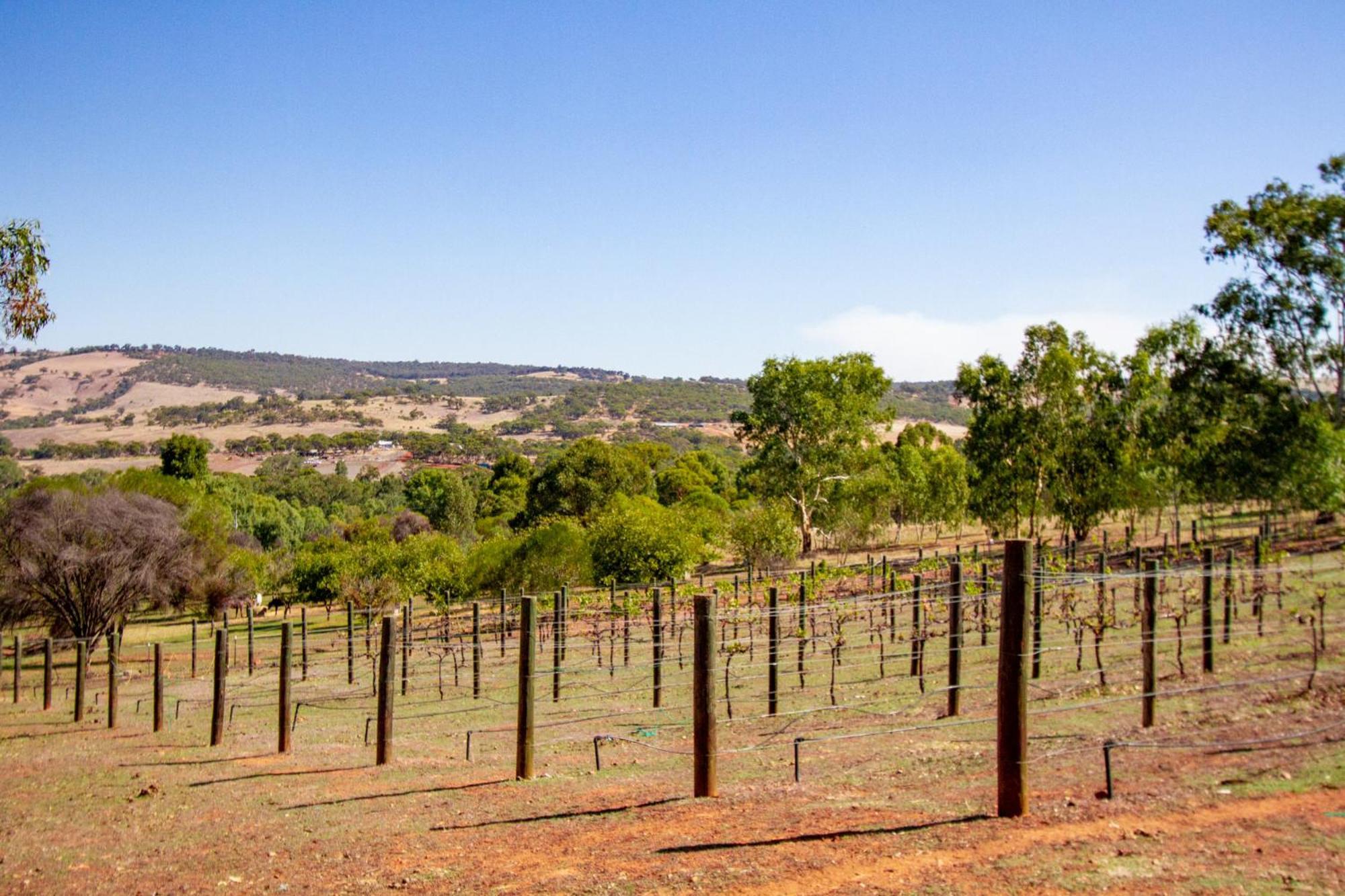 Pecan Hill Bnb Toodyay エクステリア 写真